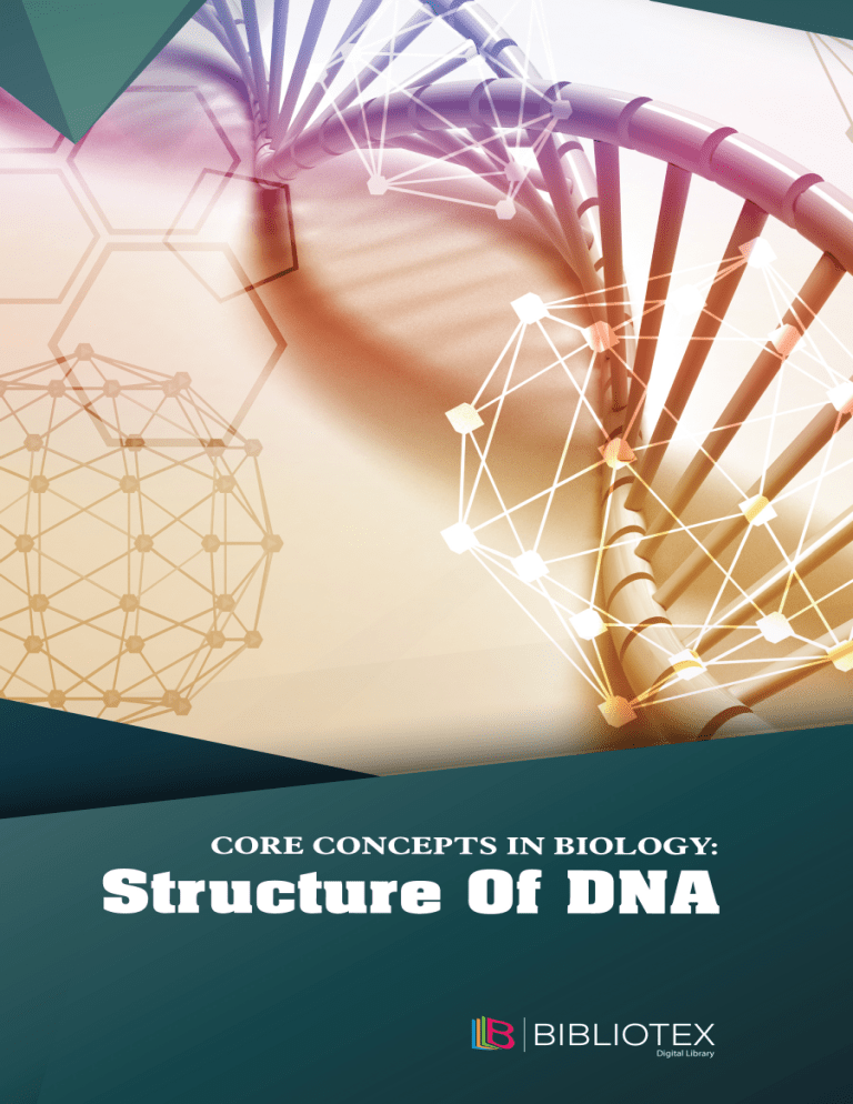Core Concepts in Biology: Structure of DNA