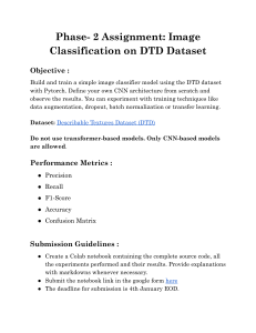 Phase 2 Assignment: Image Classification on DTD Dataset