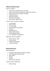 Network Congestion & Bottleneck Issues Guide