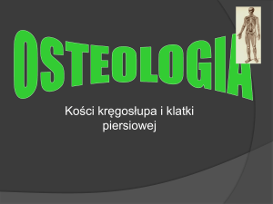 Osteologia: Kości kręgosłupa i klatki piersiowej