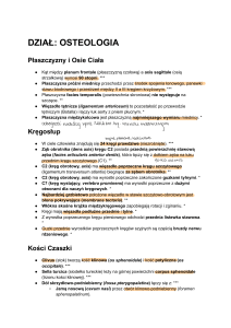 Osteologia: Płaszczyzny, Kręgosłup, Kości Czaszki