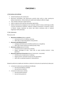 Ćwiczenie 1: Budowa ciała ludzkiego &ndash; Osie i płaszczyzny