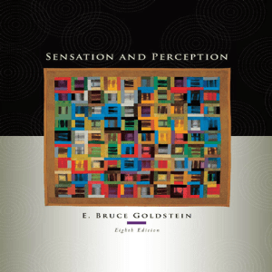 Sensation and Perception 8th Edition Textbook
