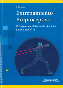 Entrenamiento Propioceptivo: Principios y gu&iacute;as pr&aacute;cticas