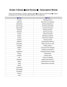 Grade 3 Glows and Grows: Descriptive Words for Students