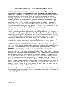 Marketing Plan Project: Introduction to Marketing