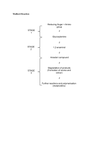 Maillard Reaction Stages Diagram