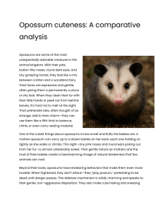 Opossum Cuteness: A Comparative Analysis