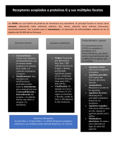 Receptores acoplados a prote&iacute;nas G y sus m&uacute;ltiples facetas