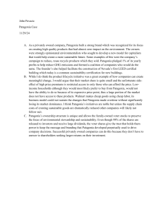 Patagonia Case Study: Sustainability and Business Model Analysis