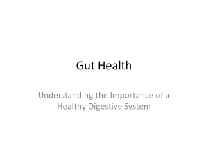 Gut Health: Importance of a Healthy Digestive System