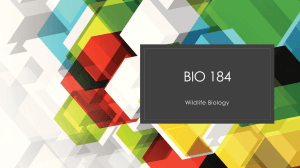 BIO 184 Wildlife Biology: Evolution Presentation