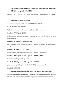 Komendy iptables w systemie Linux: blokowanie ping i inne polecenia sieciowe