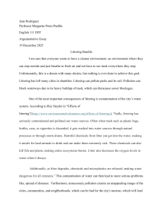 Littering Bandits: Argumentative Essay on Environmental Pollution