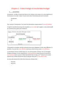 Endocrinologie & Neuroendocrinologie Chapitre