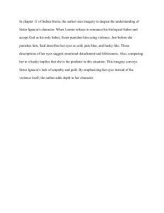 Imagery in Indian Horse Chapter 11: Sister Ignacia's Character Analysis