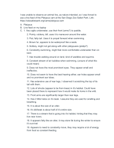 Platypus Observation: 20 Key Findings & Scientific Questions