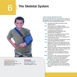 Chapter 6: The Skeletal System