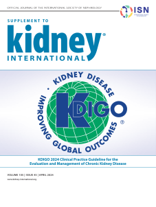KDIGO 2024 CKD Guideline: Evaluation & Management