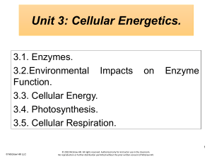Unit 3: Cellular Energetics - Enzymes, Photosynthesis, Respiration