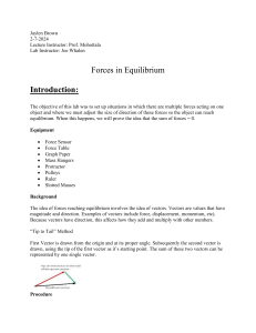Forces in Equilibrium Lab Report