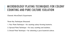 Microbiology Plating Techniques for Colony Counting