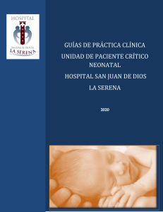 Gu&iacute;as de Pr&aacute;ctica Cl&iacute;nica Neonatal Hospital San Juan de Dios La Serena 2020