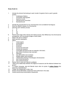 Genetics Study Guide: Model Organisms, Meiosis, Mendelian Crosses