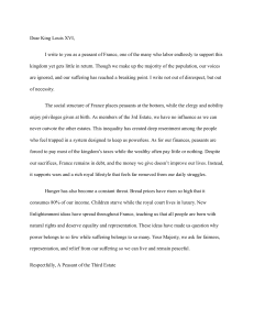 Peasant's Letter to King Louis XVI: French Revolution Grievances