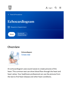 Echocardiogram: What It Is, Types, and How It Works