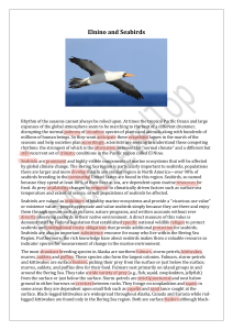 El Ni&ntilde;o and Seabirds: Climate Impact on Marine Ecosystems