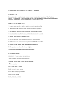 Gu&iacute;a de Pr&aacute;ctica Musical Profesional + Plan 4 Semanas