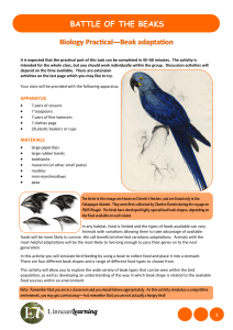 Battle of the Beaks: Beak Adaptation Biology Practical