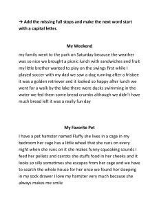 Punctuation and Capitalization Practice for Elementary Students