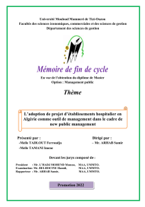 Adoption des projets d'&eacute;tablissements hospitaliers en Alg&eacute;rie dans le cadre du New Public Management