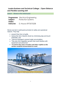 Stones in the Switchyard: Electrical Engineering Safety