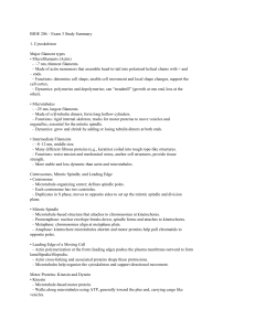 BIOE 206 Exam 3 Study Summary: Cytoskeleton & Cell Cycle