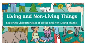 Living and Non-Living Things: Characteristics of Organisms