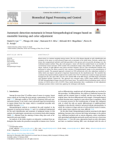 Automatic Metastasis Detection in Breast Histopathological Images Using Ensemble Learning