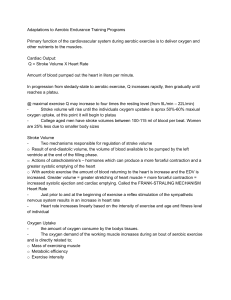 Aerobic Endurance Training Adaptations