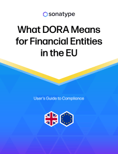 What DORA Means for EU Financial Entities: Compliance Guide