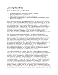 Meiosis and Sexual Reproduction: Biology Concepts