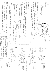 Mechanical Area: Turbine Operation and States