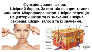 Функціонування шкіри: захист, рецепція, секреція