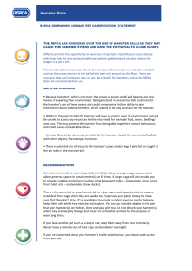 RSPCA Hamster Balls: Welfare Concerns & Recommendations
