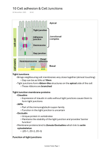 Cell Adhesion & Junctions Lecture Notes