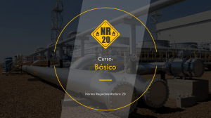 Curso B&aacute;sico NR-20: Seguran&ccedil;a com Inflam&aacute;veis e Combust&iacute;veis