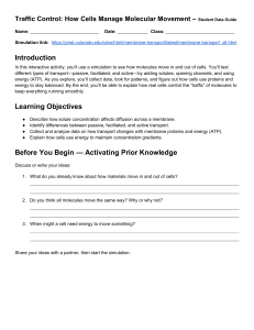 Cell Transport Student Guide: Passive, Facilitated, Active