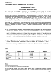 Cas Ch&acirc;teau Ducou 2: Comptabilit&eacute; financi&egrave;re