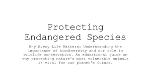 Protecting Endangered Species: Why Every Life Matters